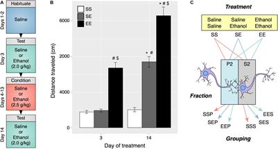 Ethanol-Induced Behavioral Sensitization Alters the Synaptic Transcriptome and Exon Utilization in DBA/2J Mice